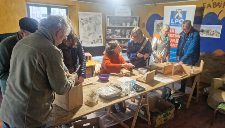 On prépare déjà le printemps en préparant des nids pour les hirondelles !